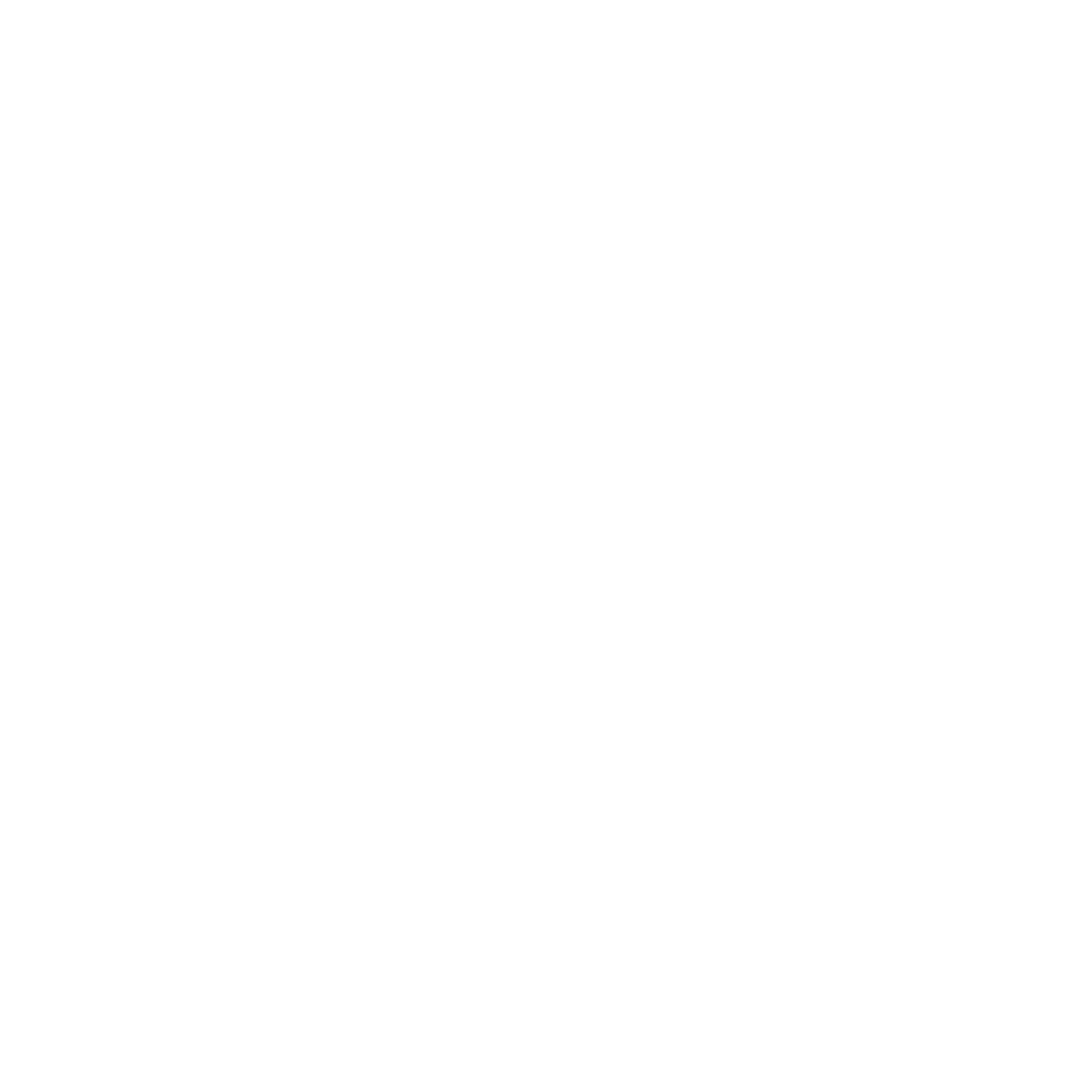 Rivls Logo